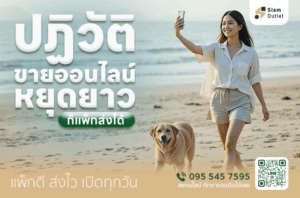 หยุดยาวก็แพ็กส่งได้